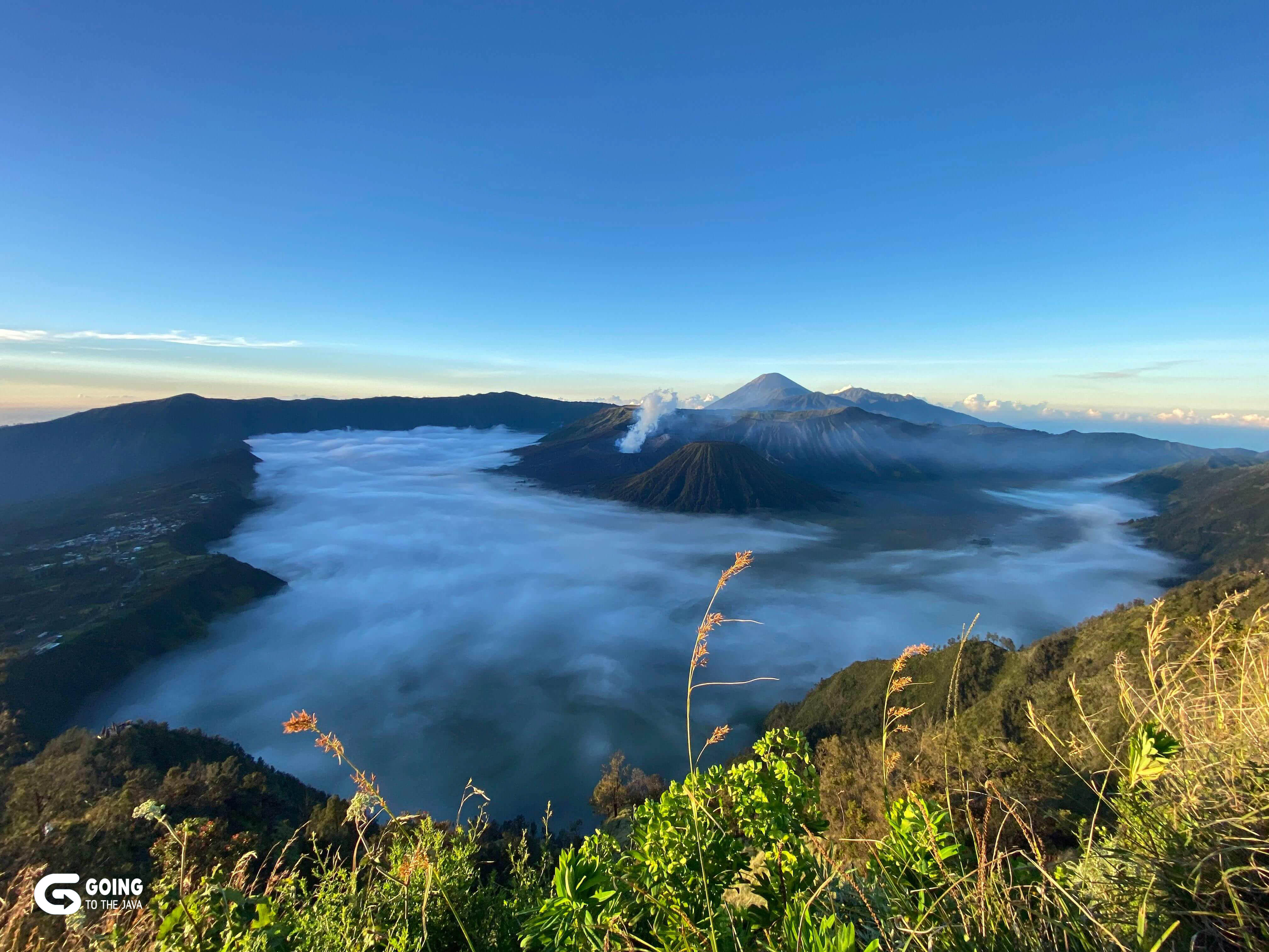 Bromo