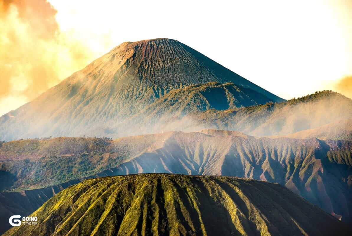 Bromo