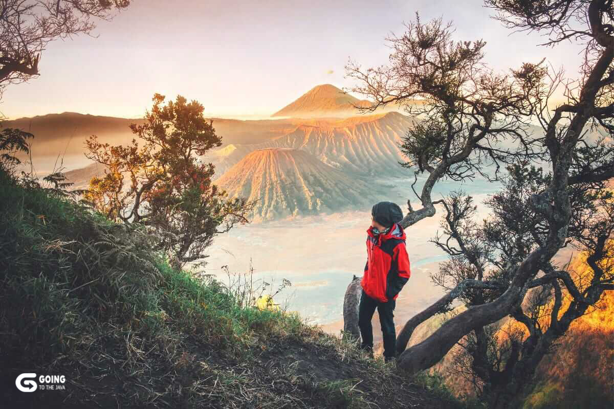 Bromo